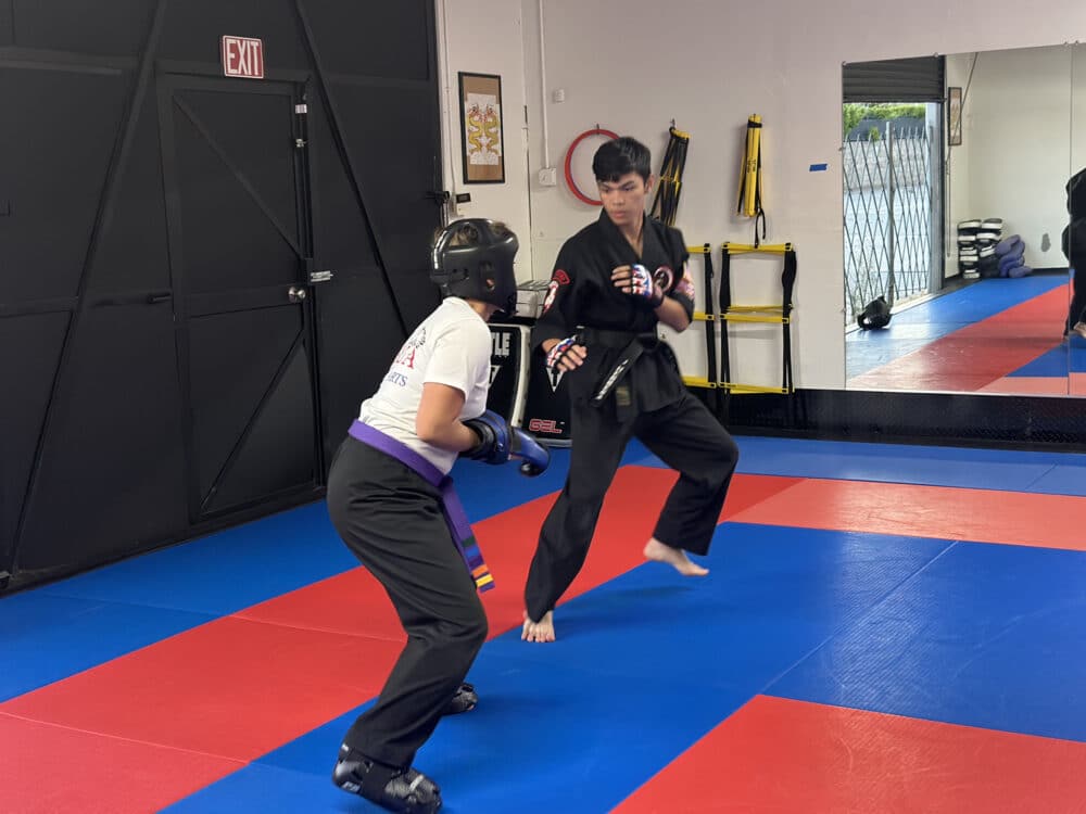 Kokua Martial Arts Fitness Academy Programs image