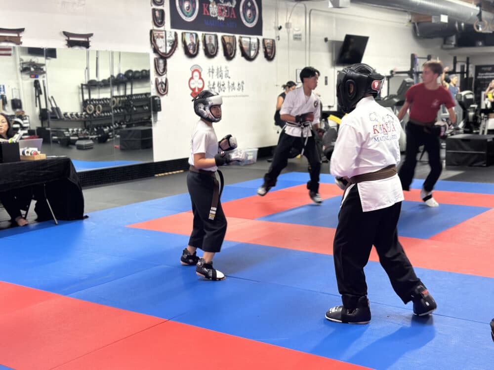 Kokua Martial Arts Fitness Academy Memberships image